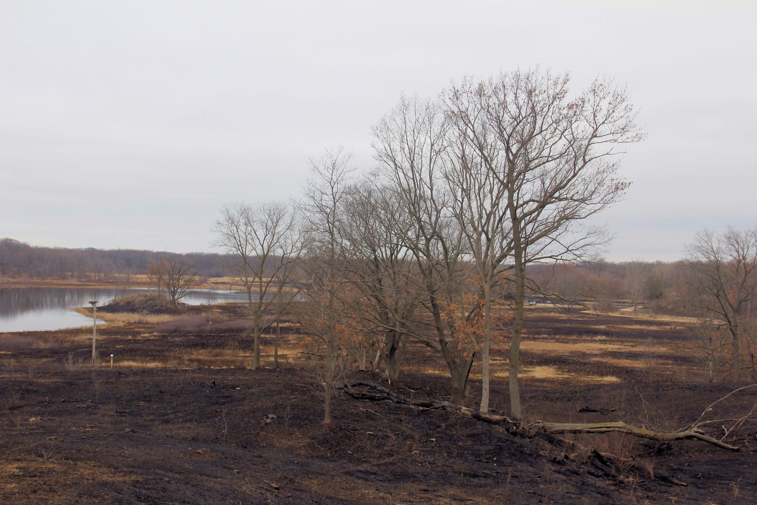 Morraine Hills State Park 